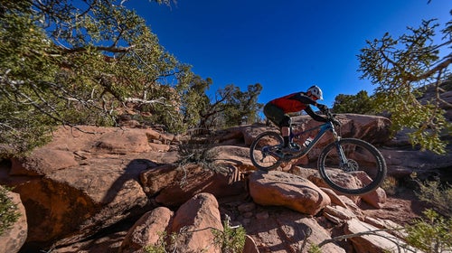 After spending a few weeks riding the redesigned Trance X 29, we found that this X marks the spot for modern trail bikes.