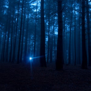 One light in the dark spooky woods at night