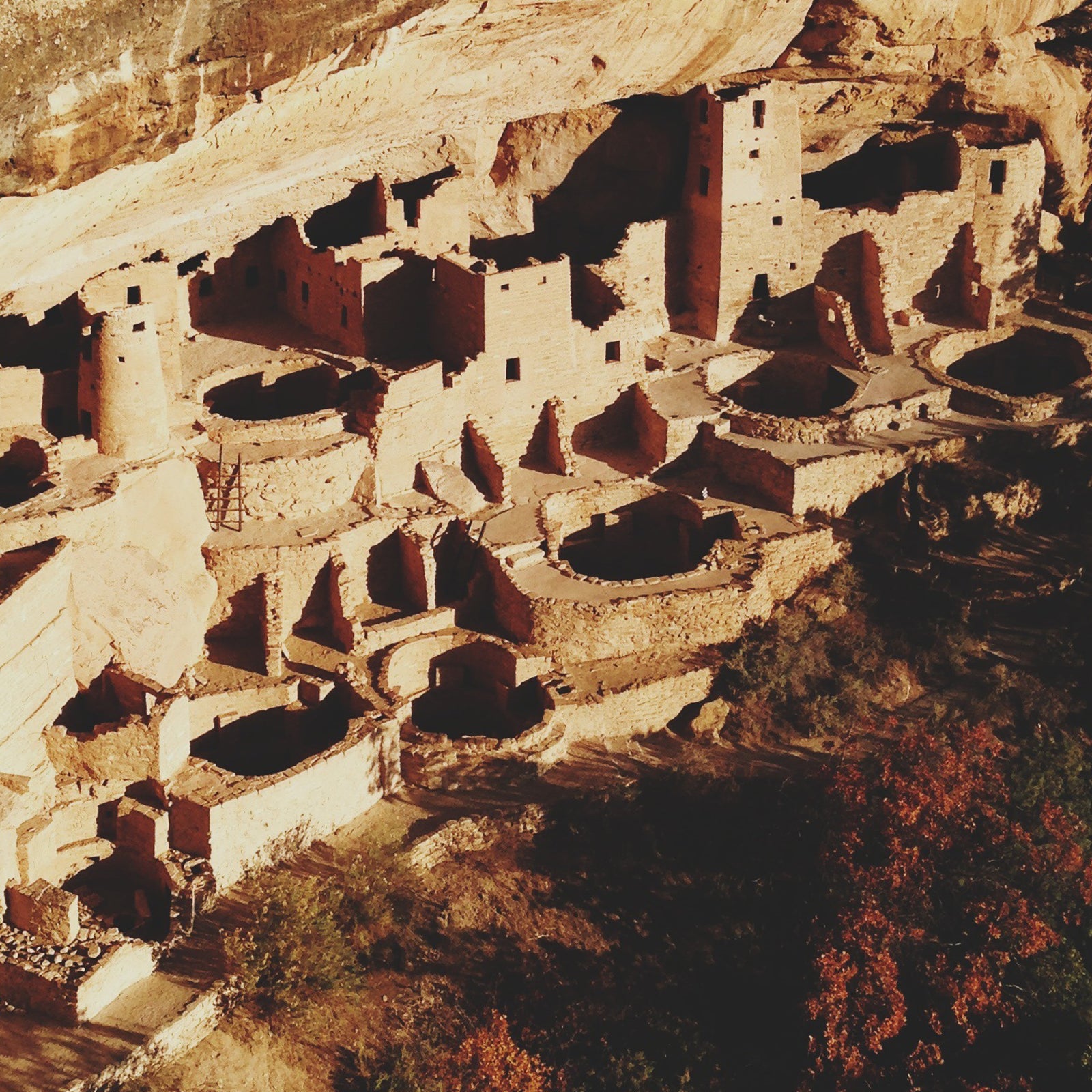 Ancient Cliff Dwellings