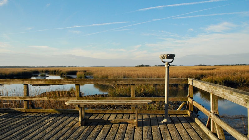 Marsh viewer and bench