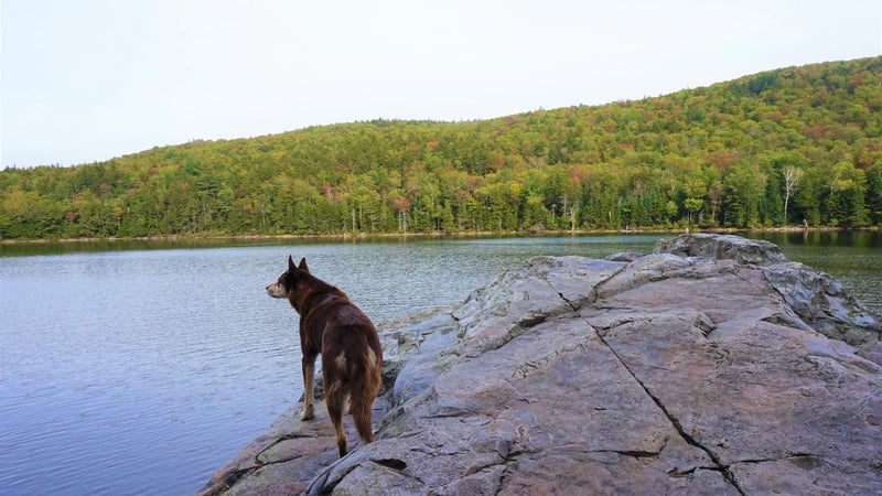 backpacking trips east coast