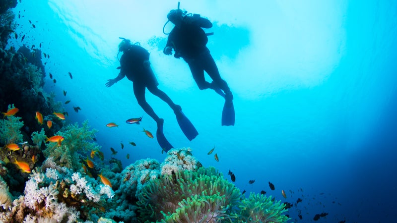 Scuba Diving at Coral Reef