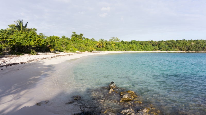 Stunning Tropical Beach With White Sand