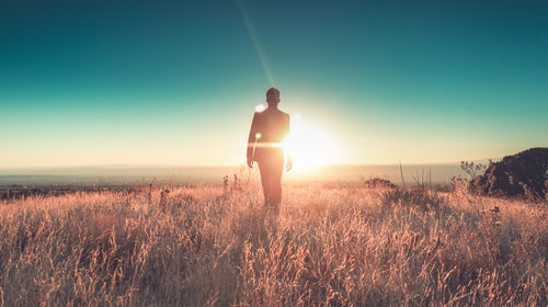 man sun business suit nature landscape