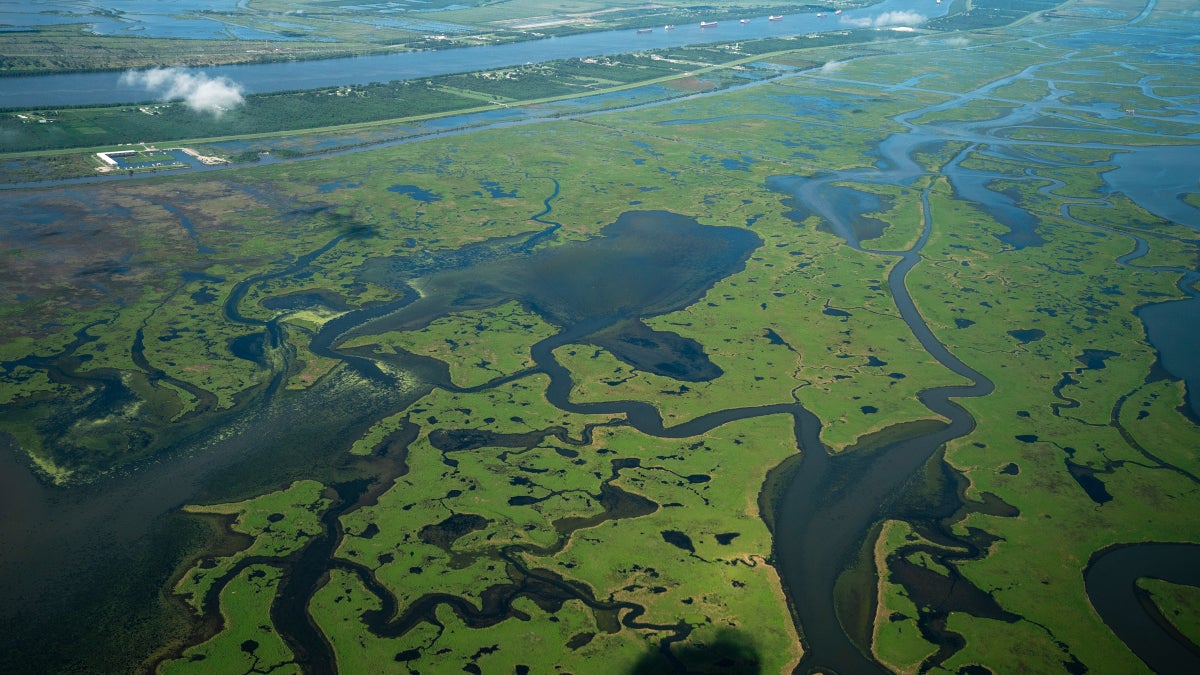 The People Trying to Use Technology to Save Nature