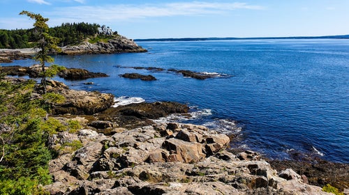 According to a report published by the administration’s task force, an estimated 100 million Americans do not have a park within a ten-minute walk of their home.