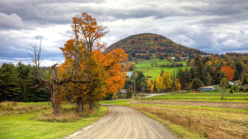 Autumn in the Northeast Kingdom