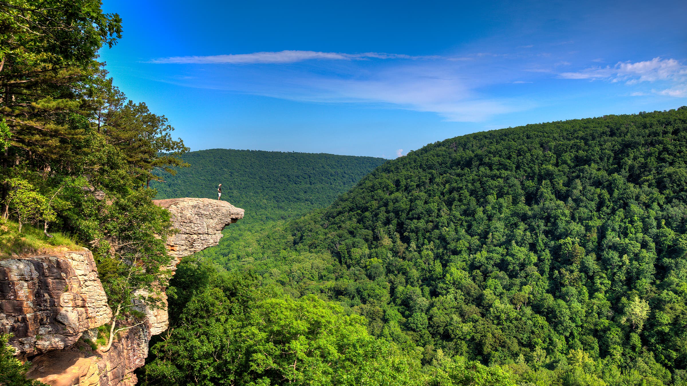 Hawkbill Crag, overlooking Ozark National Forest