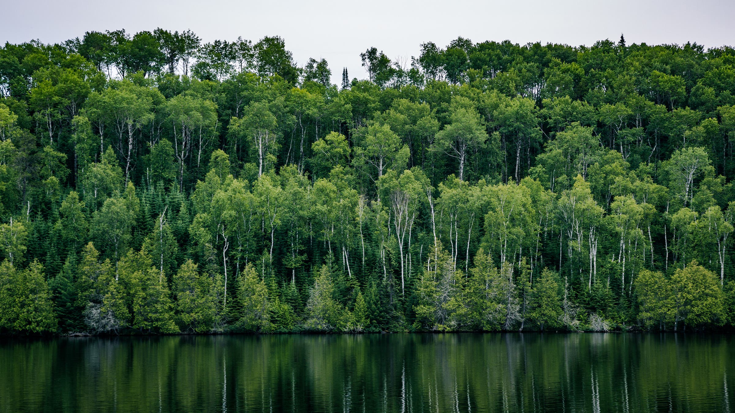 Superior National Forest