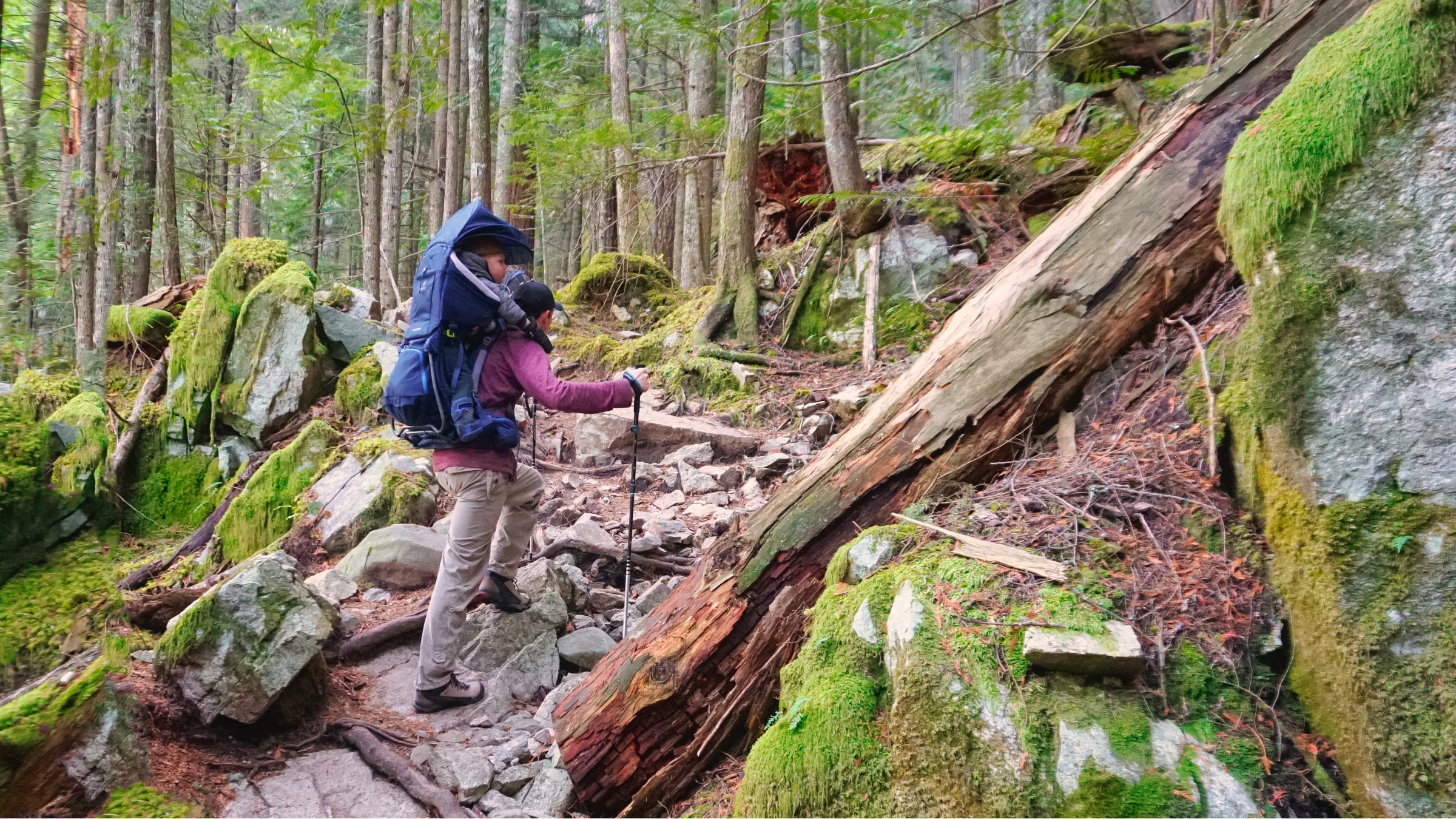 You can count on these seven items to work well and last a long time.