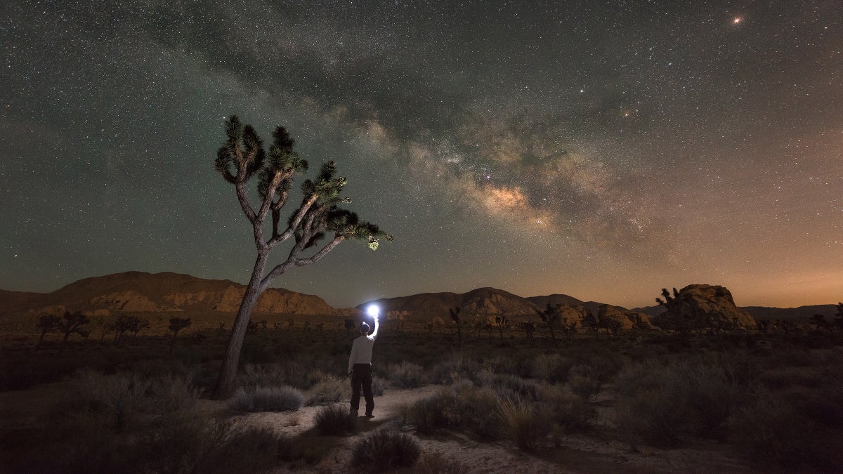 Alone and Broken in the Desert