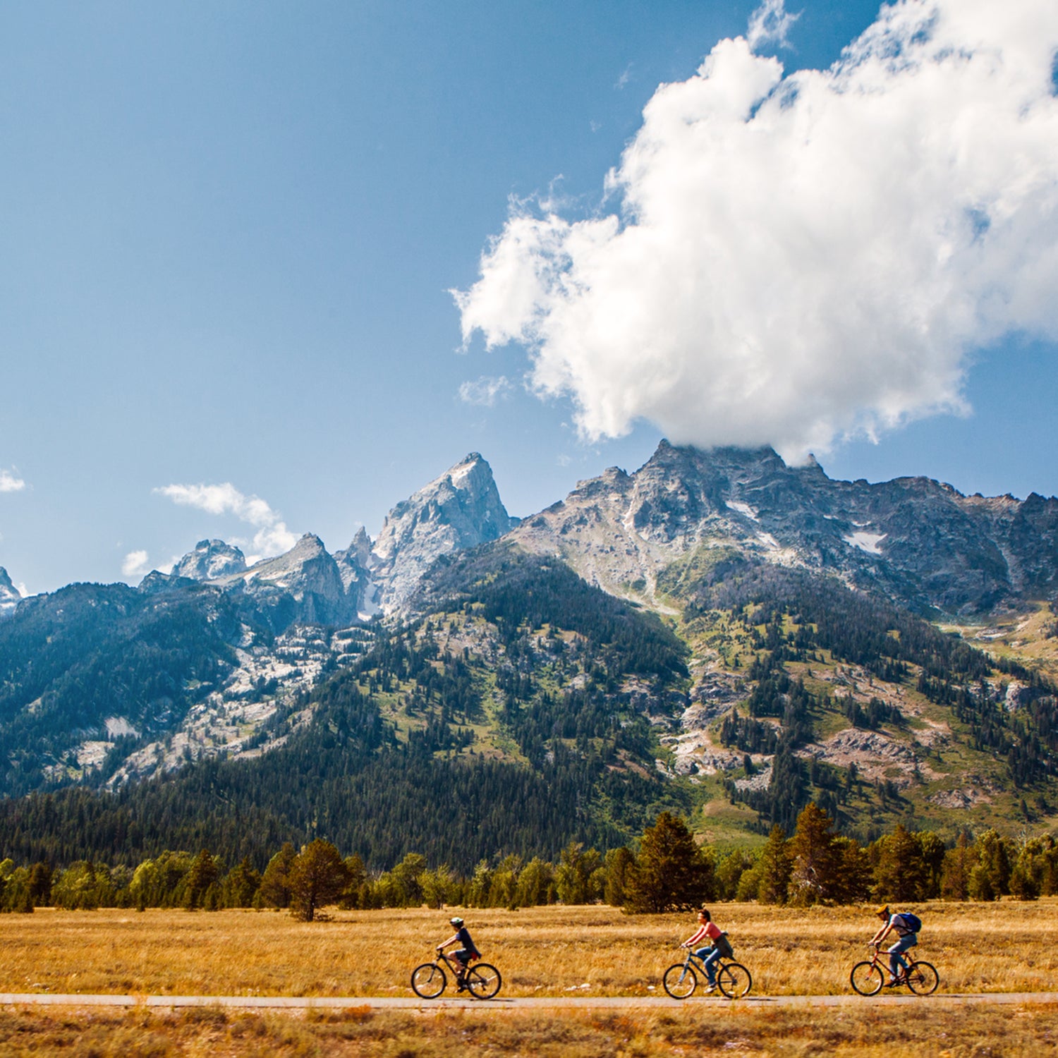 Family Of Cyclists Biking Through Grand Teton National Park's Mountain Range