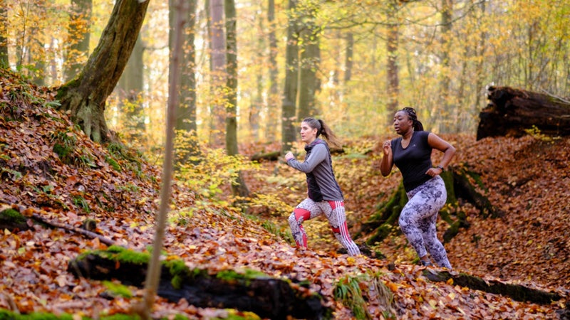 Saturday Sport In the Sonian Forest