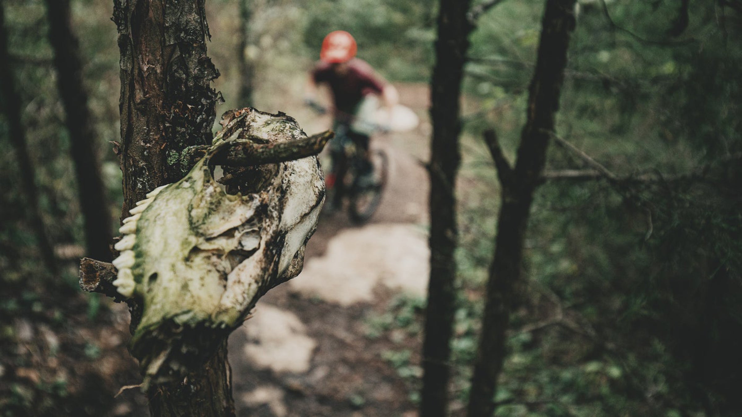 Given the increase in recreational use of public lands, it’s fair to assume that more people than ever are competing for access to this finite resource.