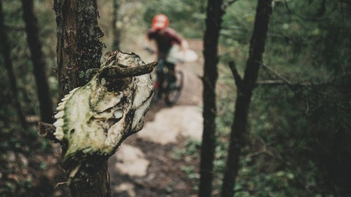 Given the increase in recreational use of public lands, it’s fair to assume that more people than ever are competing for access to this finite resource.