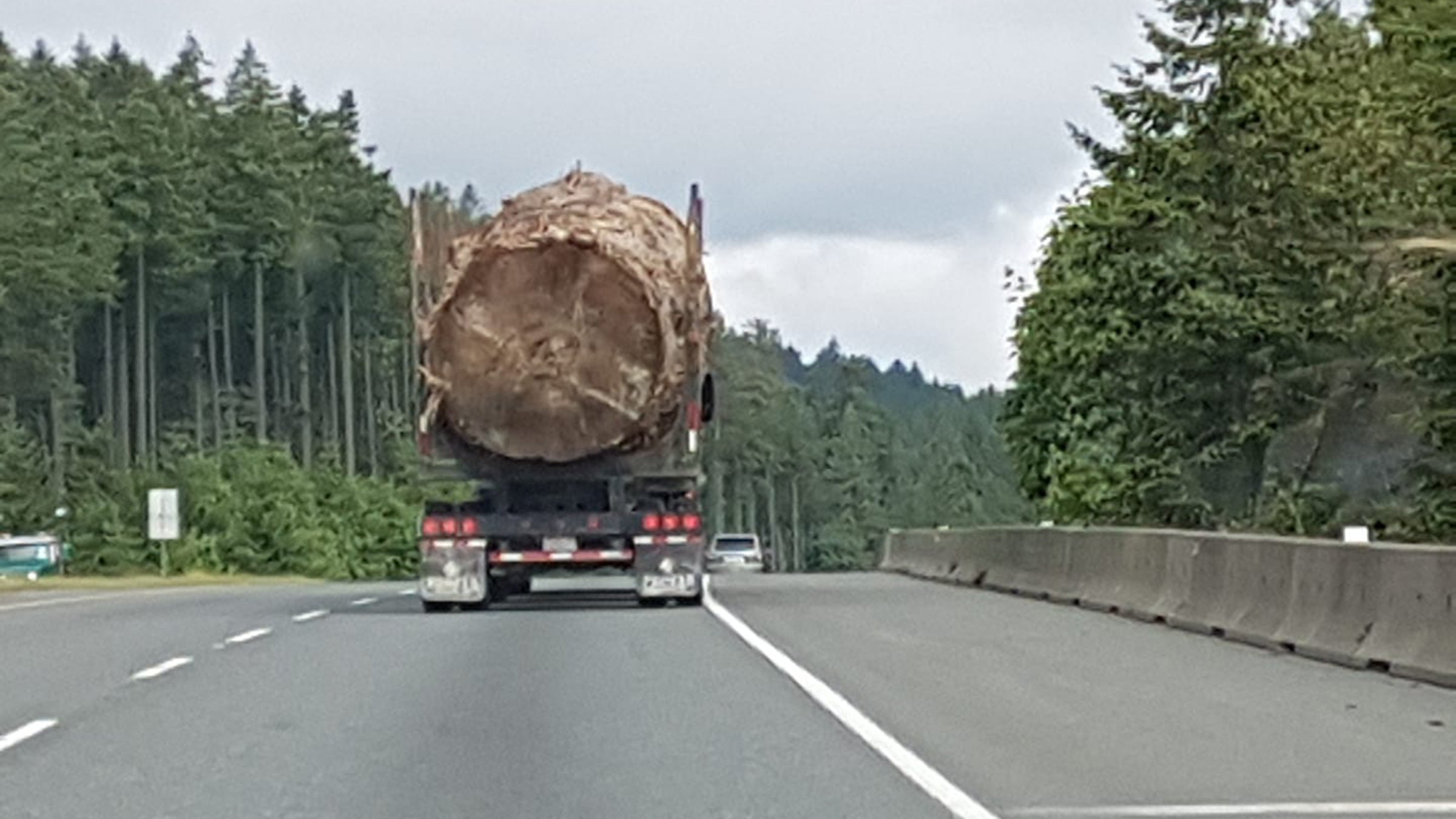 Lorna Beecroft, a resident of Nanaimo, a city on Vancouver Island, British Columbia, took the photo on May 25.