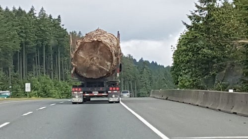 Lorna Beecroft, a resident of Nanaimo, a city on Vancouver Island, British Columbia, took the photo on May 25.