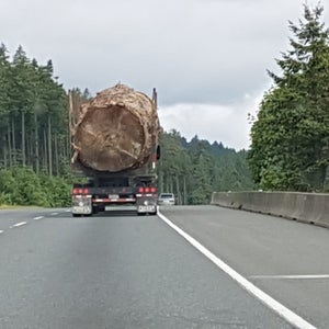 Lorna Beecroft, a resident of Nanaimo, a city on Vancouver Island, British Columbia, took the photo on May 25.