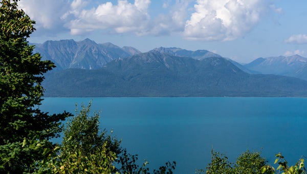 Looking out on Lake Clark