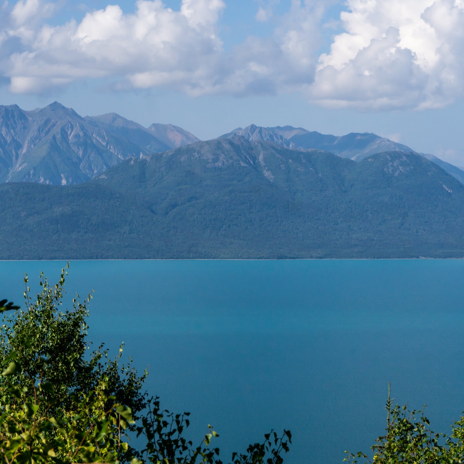 Looking out on Lake Clark