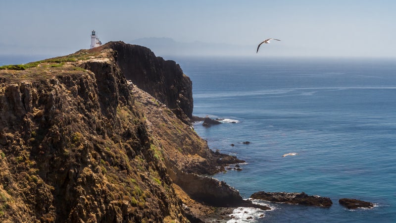 Anacapa Light