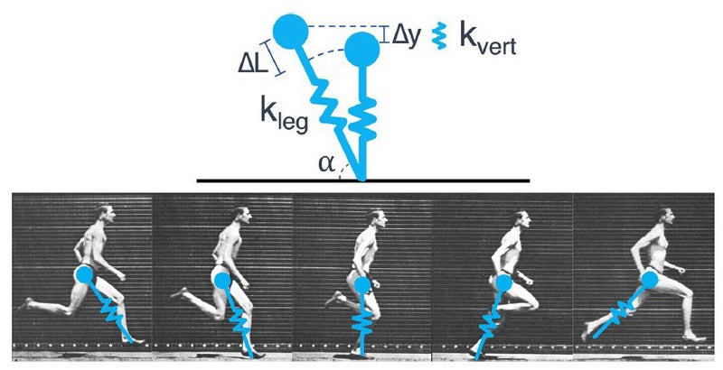 Running Form Analysis – The Running Center