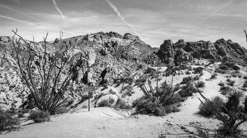 Nelson’s story quickly made international headlines and became one of the park’s most publicized rescues in recent history.