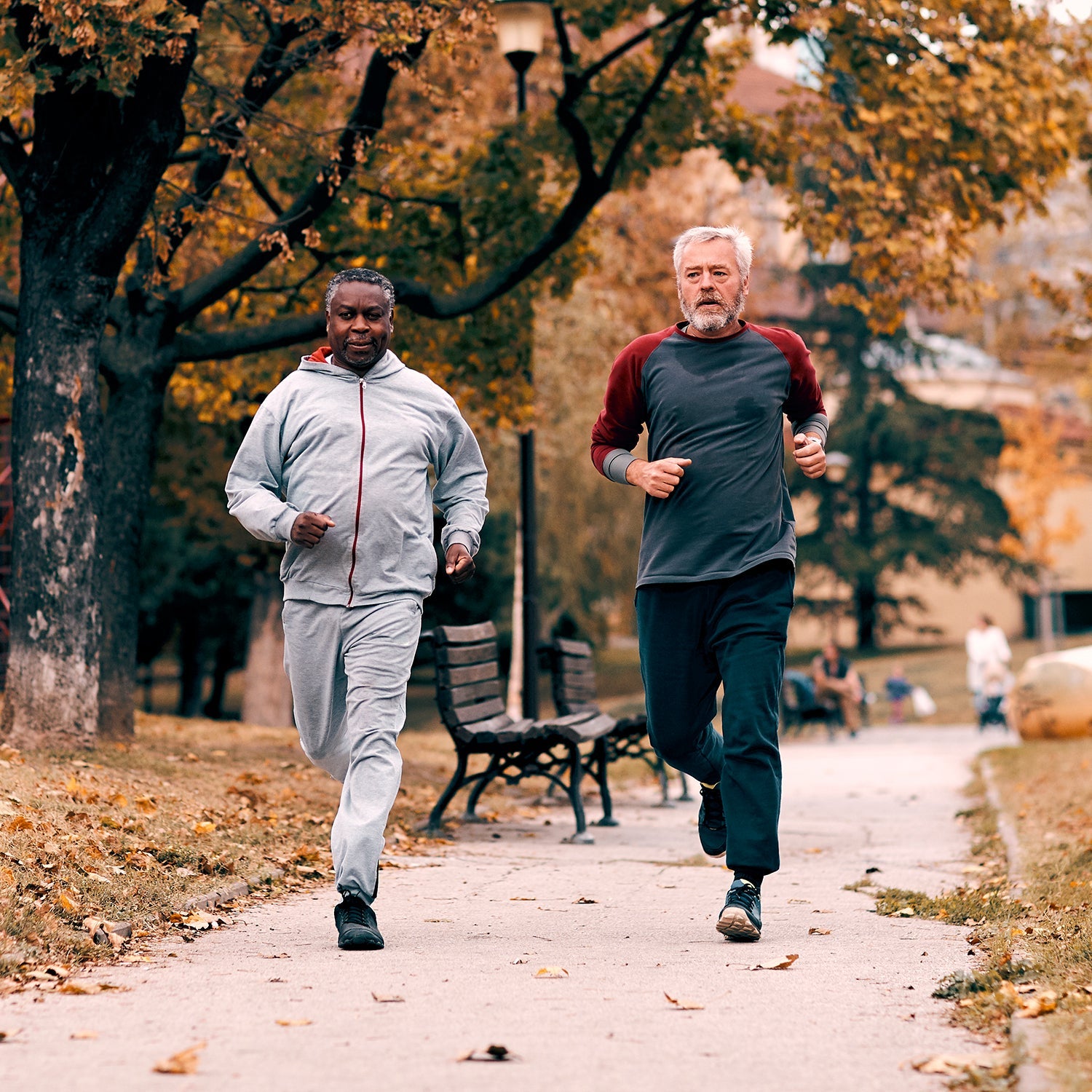 Training and nutrition for aging athletes