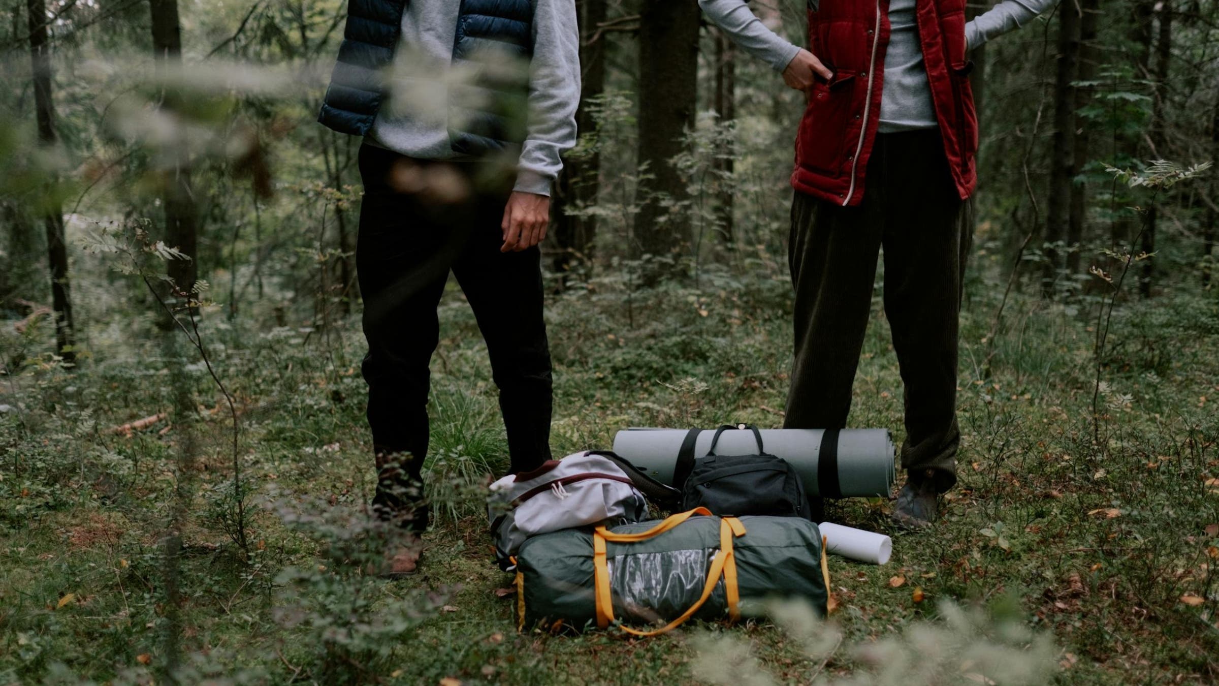 Two people in the woods stand next to their camping gear on the ground