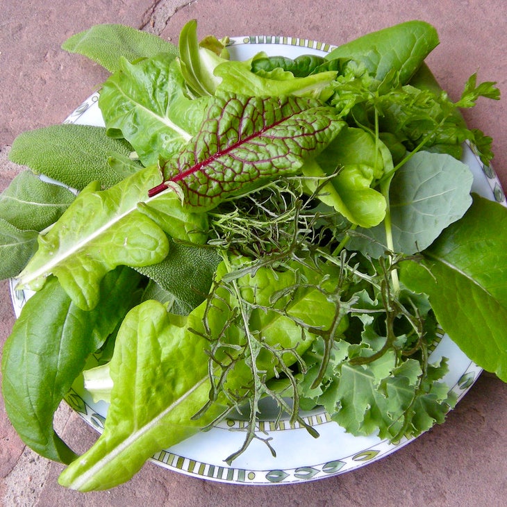 Fresh greens on a plate