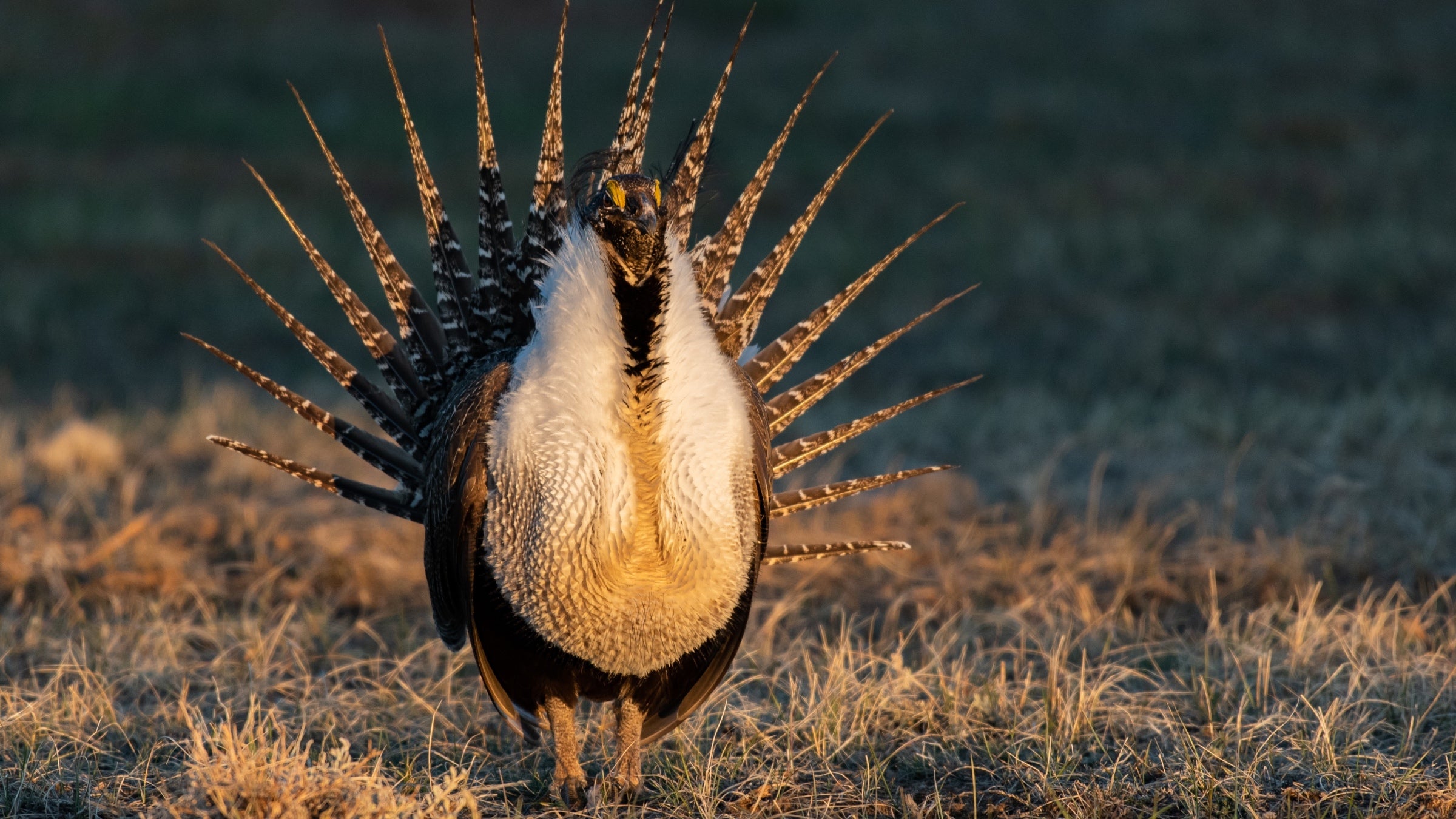 The compulsion to return to familiar places runs through ’Site Fidelity,’ a new collection of stories by Claire Boyles.