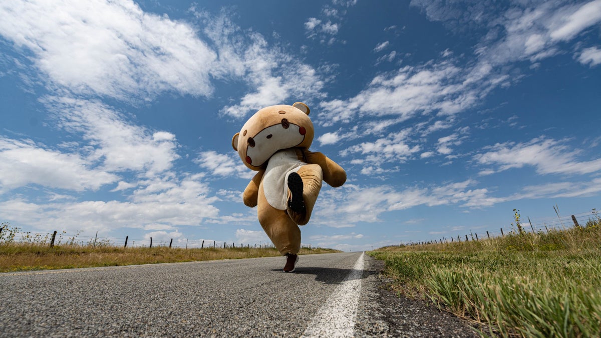 Teddy Sports Training, San Diego, CA