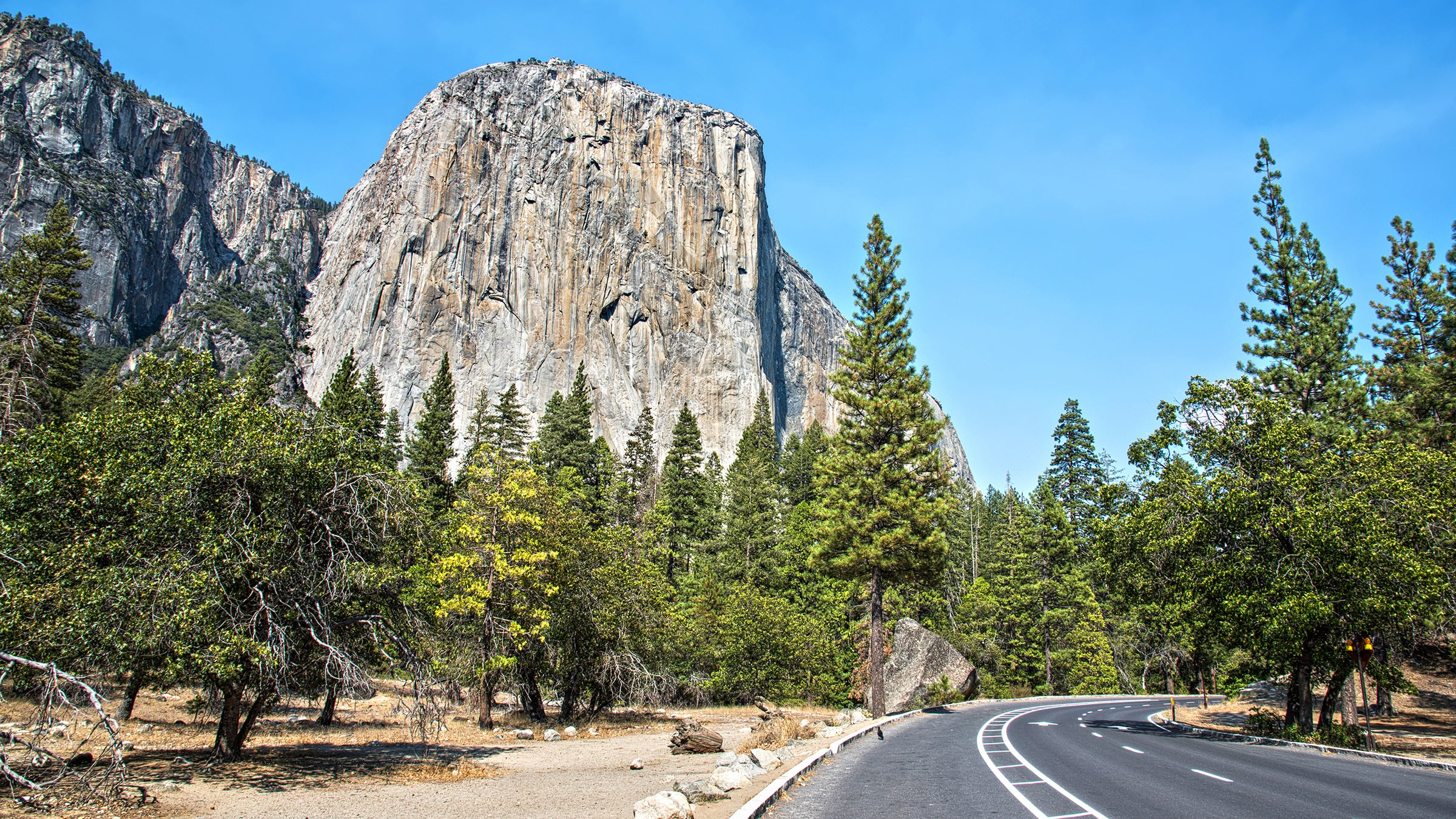 People don’t take trips—for better or worse, trips take people.