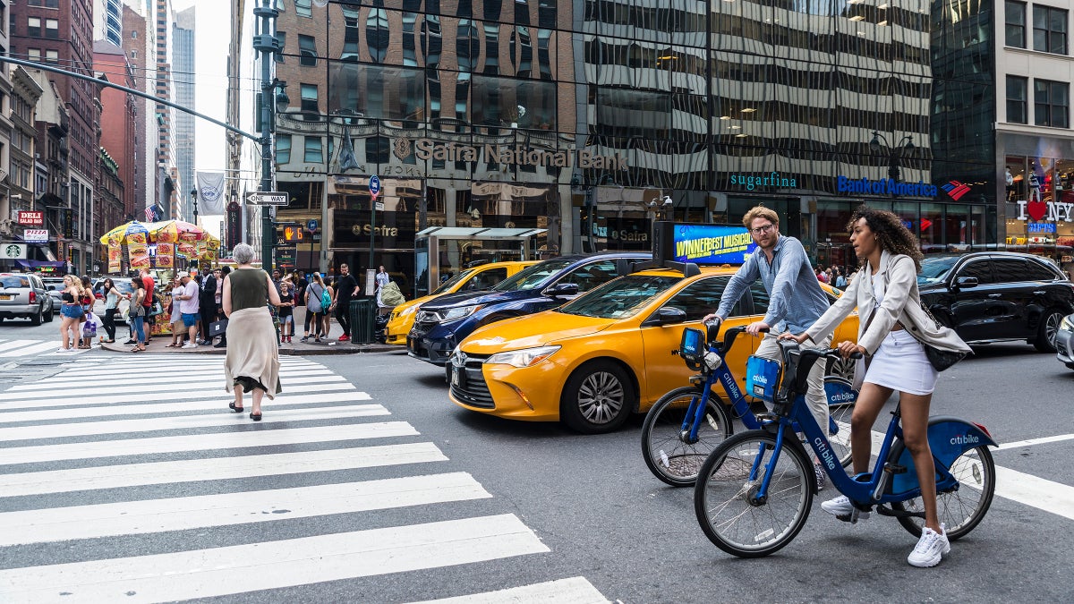 The Intersection Is a City’s Watering Hole, and It's Teeming with Life and Danger