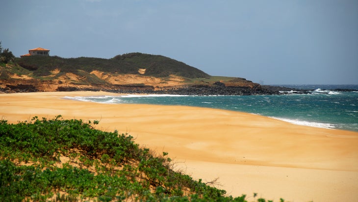 best adventure trips in november