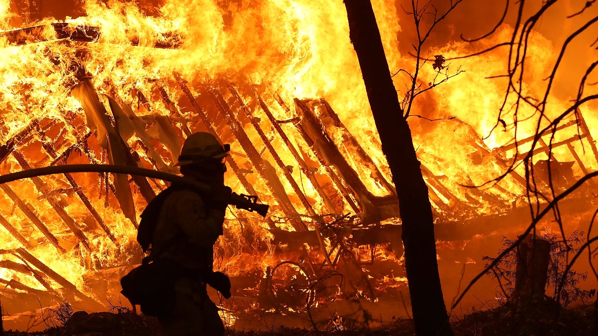 A New Book Examines What We Lost in the Camp Fire