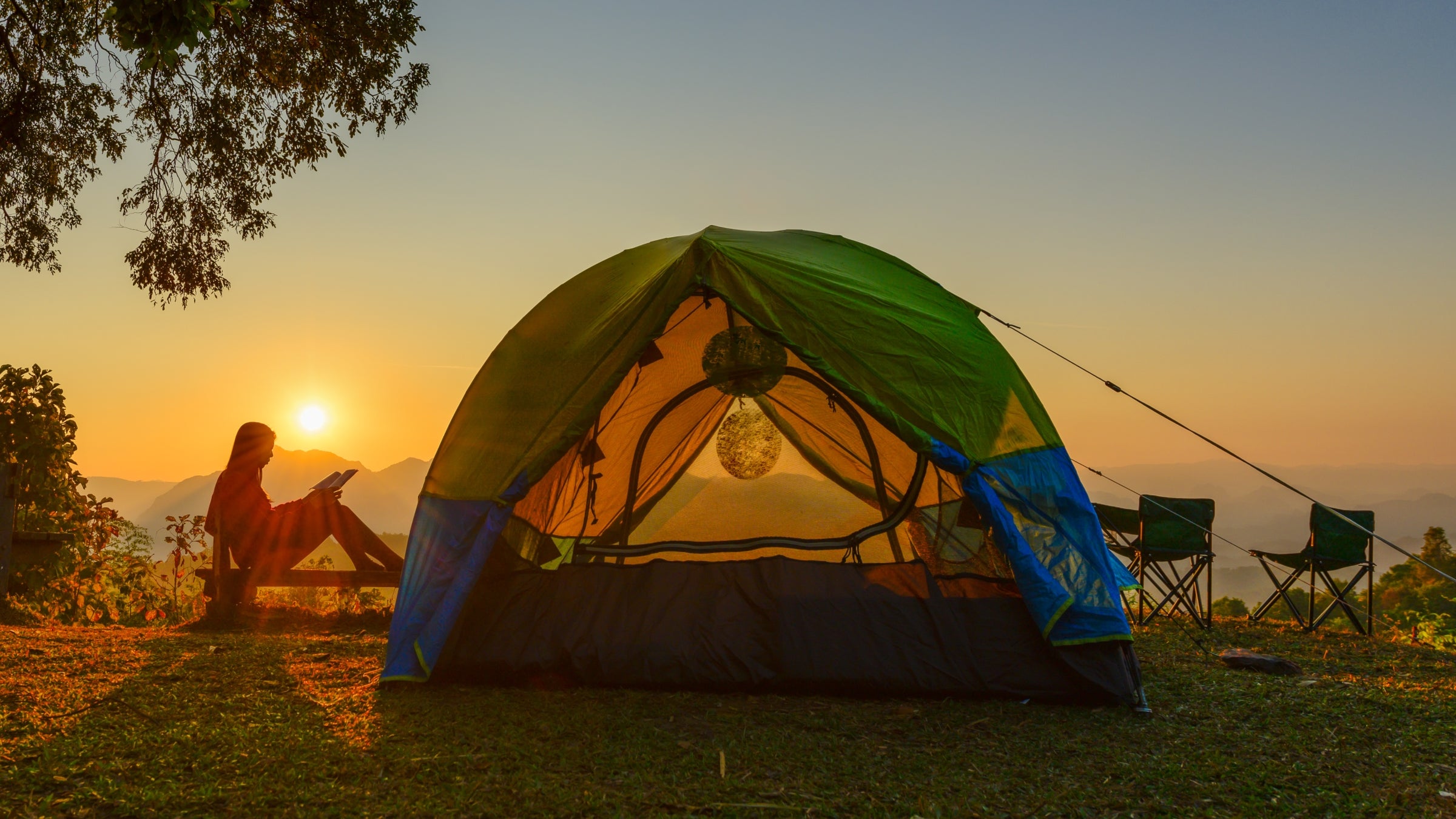 When we weren’t watching athletes like Carissa Moore, Sifan Hassan, and Katie Ledecky triumph in Tokyo, we found time to read classic short stories, stream a soothing gardening documentary, and learn all about coyotes.