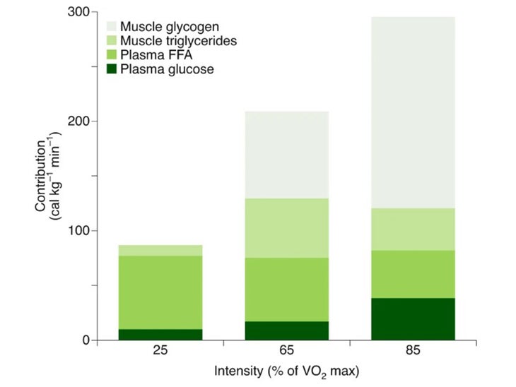 Chart of fuel mixture at different exercise intensities