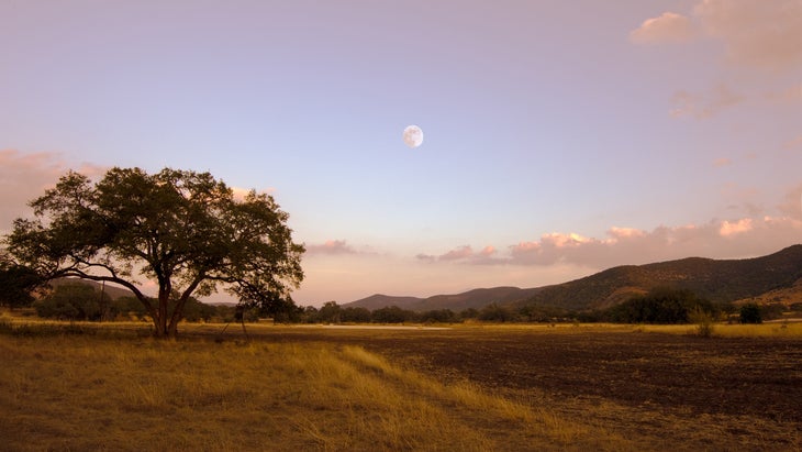 best adventure trips in november