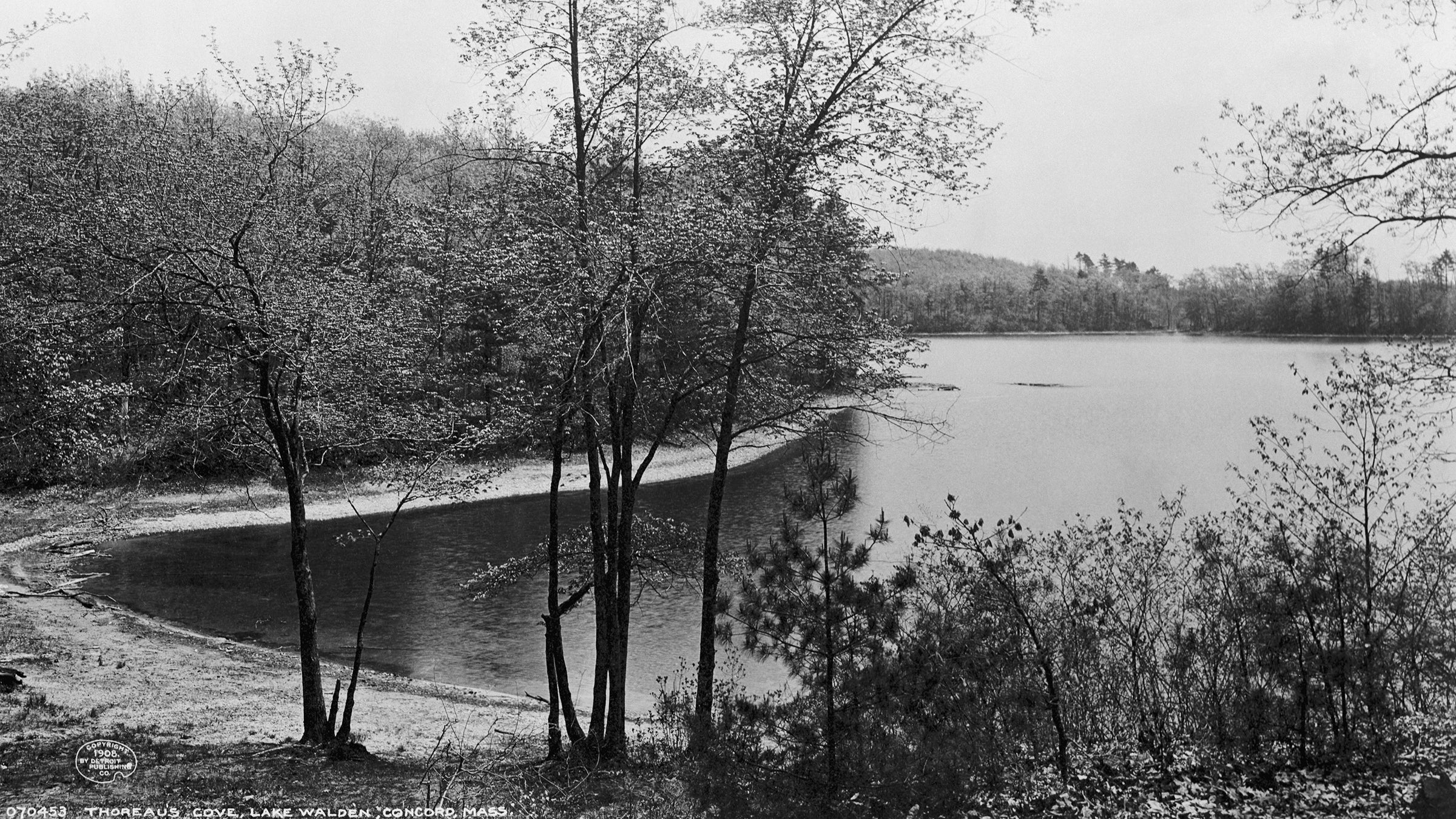 Walden Pond from Henry David Thoreau’s hut
