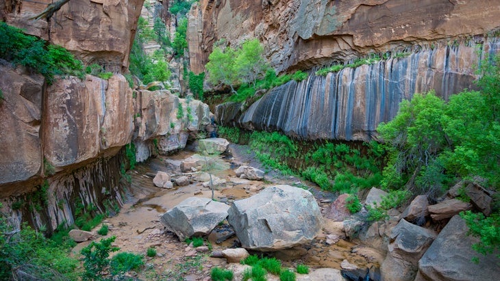 best adventure trips in november