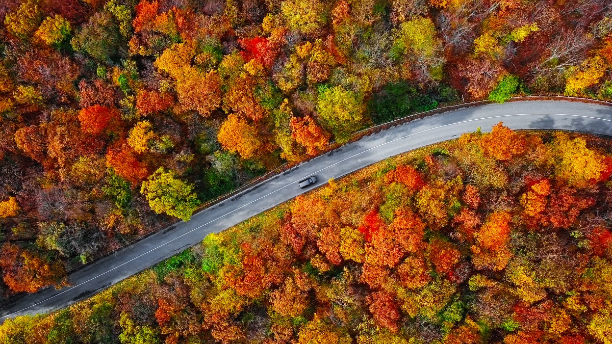 Leaf-Peeping Looks Different This Year