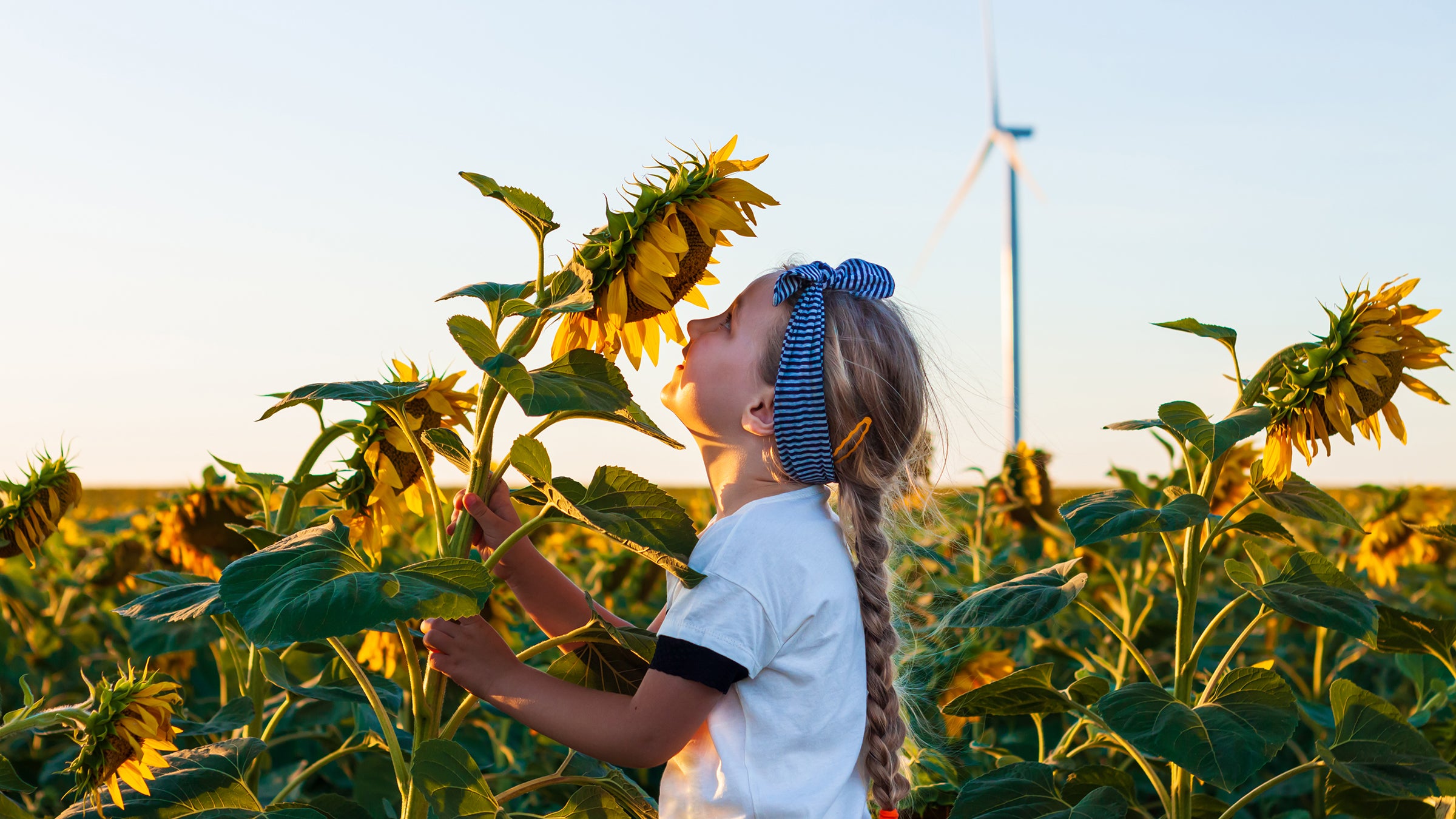 Girl smelling sunflower
