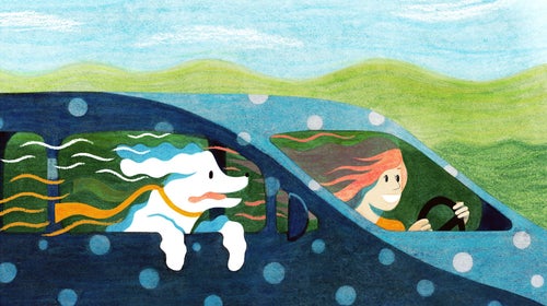 illustration of E. Jean Carroll on a road trip