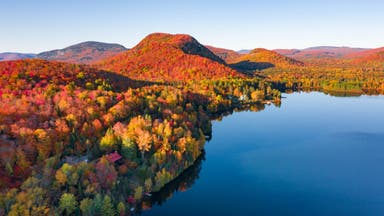 Use This App to Find the Best Fall Foliage