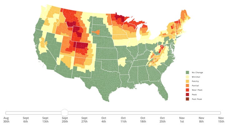 Fall foliage prediction map