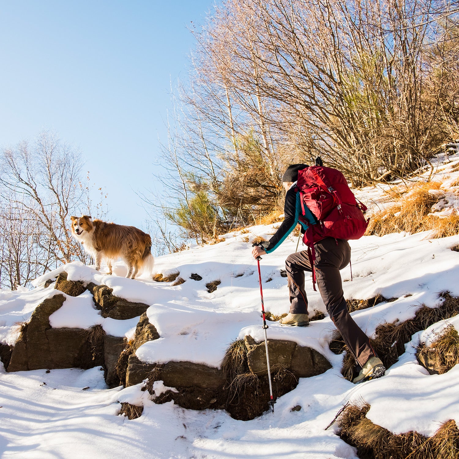 Thesnowboots clearance