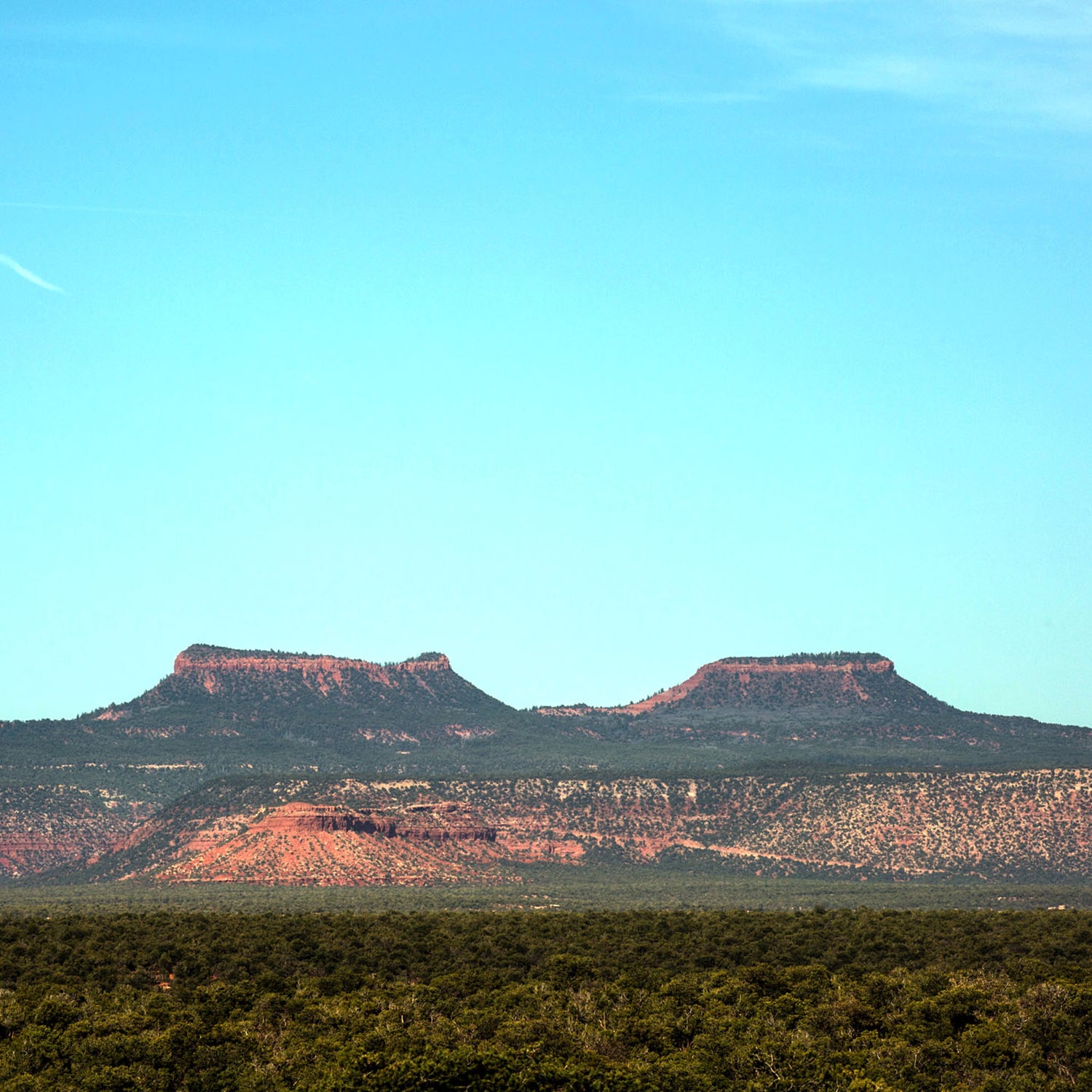 Bears ears landscape