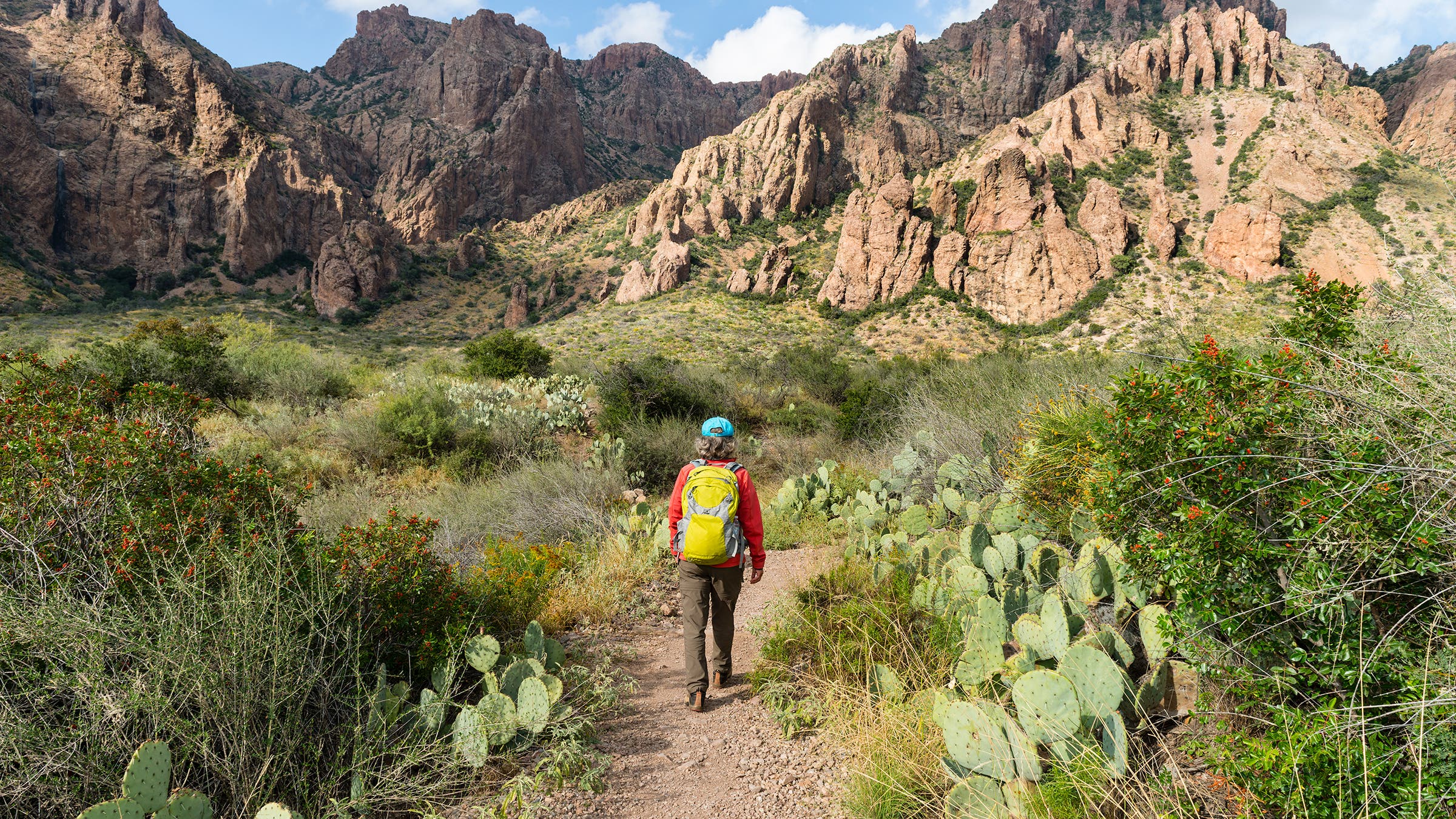 Woman hiking in Big Bend National Park, Texas, USA