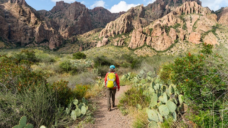 Woman hiking in Big Bend National Park, Texas, USA